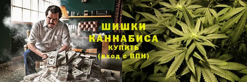 купить наркотик  Когалым  Бошки марихуана SATIVA & INDICA 